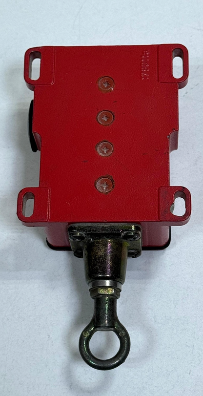 BERNSTEIN Classic | SIDUV1 | Rope Pull Switch | 601.2431.8777