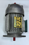 LFERT G0443 ThreePhase Asynchronous Motor | 0.25 HP / 0.18 kW0