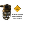 Zjhaiji 100W ExplosionProof Light E27 IP65 Zone 1/2/21/22 Brass Aluminum 220V/24