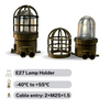 Zjhaiji 100W ExplosionProof Light E27 IP65 Zone 1/2/21/22 Brass Aluminum 220V/25