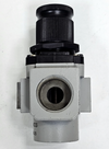 PNEUMICS |  SR25 | Pneumatic Filter Regulator | 150 PSI3