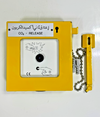 CO₂ Release Manual Call Point Fire Suppression Systems | HighVisibility0