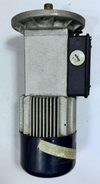Minimato Gear Motor – A 244T | 0.5/0.29A, 220/380V, 50Hz | Made in Italy2