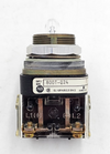 AllenBradley 800TQ24 White Illuminated Pilot Light | 24 V2