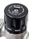 Caleffi 2/100 Thermostatic Mixing Valve | 30°C–65°C Adjustable1