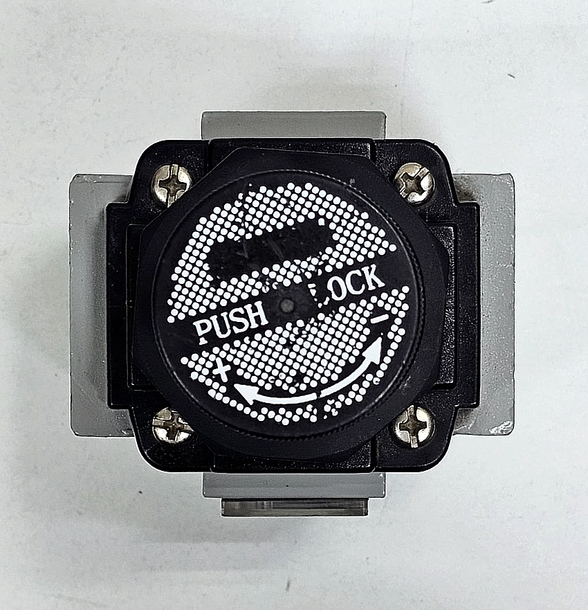 PNEUMICS |  SR25 | Pneumatic Filter Regulator | 150 PSI1