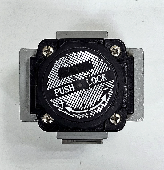 PNEUMICS |  SR25 | Pneumatic Filter Regulator | 150 PSI1