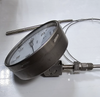 WIKA Temperature Gauge | 0–250°C | Gas System Use3