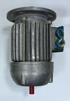LFERT G0443 ThreePhase Asynchronous Motor | 0.25 HP / 0.18 kW5