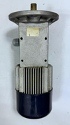 Minimato Gear Motor – A 244T | 0.5/0.29A, 220/380V, 50Hz | Made in Italy3