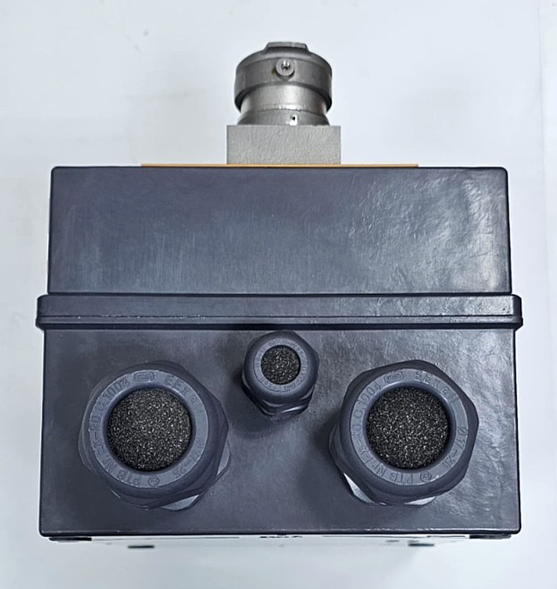 STAHL 8537/17057000 ExplosionProof Safety Switch6