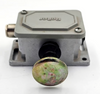 Reiter PLA2PW Limit Switch5