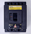 Unelec | Record D100 | MCCB | Moulded Case Circuit Breaker | 600V | 63 A0
