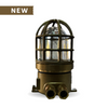 Zjhaiji 100W ExplosionProof Light E27 IP65 Zone 1/2/21/22 Brass Aluminum 220V/20
