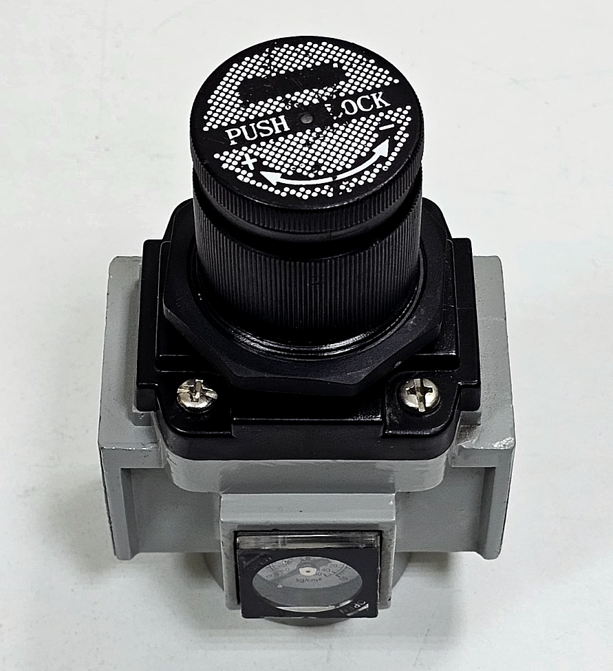 PNEUMICS |  SR25 | Pneumatic Filter Regulator | 150 PSI0