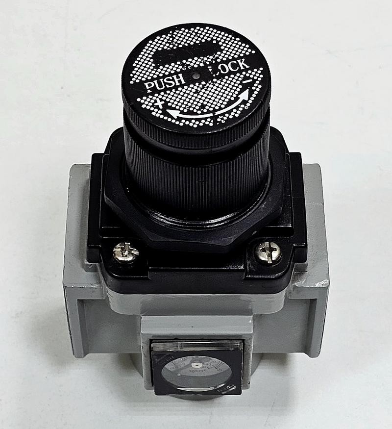 PNEUMICS |  SR25 | Pneumatic Filter Regulator | 150 PSI0