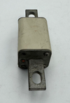 Bussmann | 170E2161 | Fuse | 100A | Made in Denmark ( 1 Pcs )1
