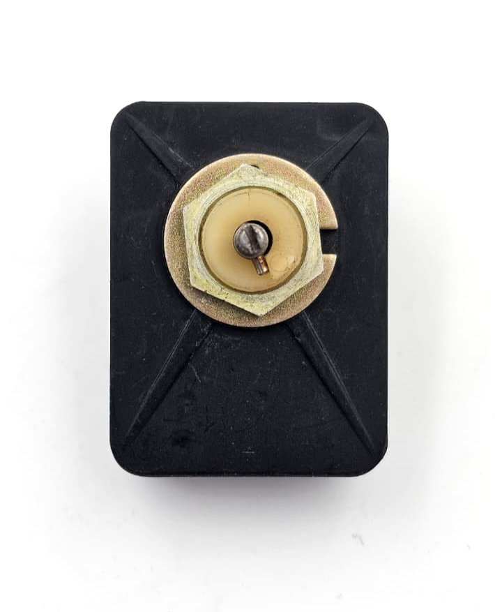 Carpano Minuterie MC 30 Timer Switch 250V1