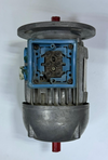 LFERT G0443 ThreePhase Asynchronous Motor | 0.25 HP / 0.18 kW4