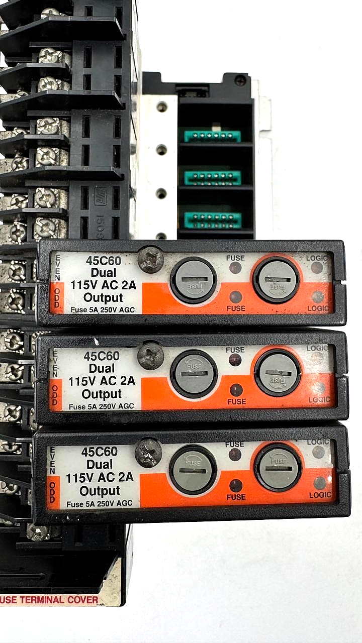 Reliance Electric AutoMate 45C60 PLC Output Module Set | Made in USA - saleem al tamimi electric equipment trading co llc-UAE
