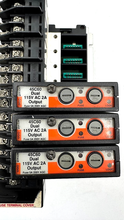 Reliance Electric AutoMate 45C60 PLC Output Module Set | Made in USA - saleem al tamimi electric equipment trading co llc-UAE