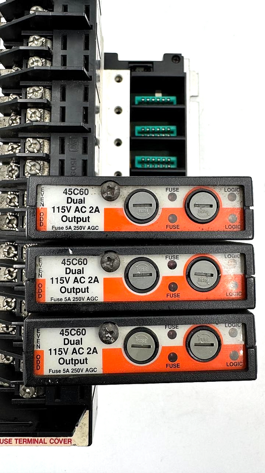 Reliance Electric AutoMate 45C60 PLC Output Module Set | Made in USA - saleem al tamimi electric equipment trading co llc-UAE
