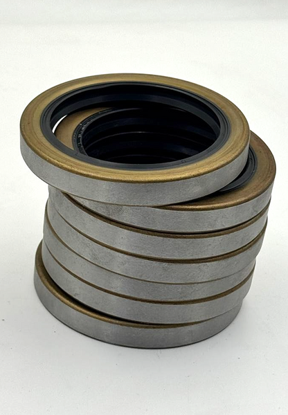 TB2 75×100×13 High Quality Oil Seal ( 1 pcs ) - saleem al tamimi electric equipment trading co llc-UAE
